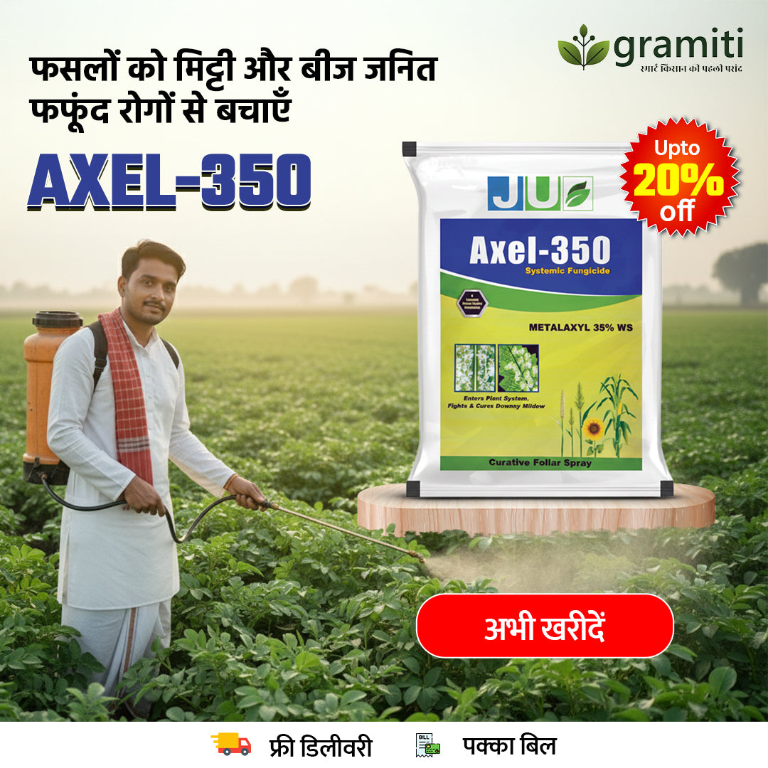 AXEL 350 - Metalaxyl 35 % WS