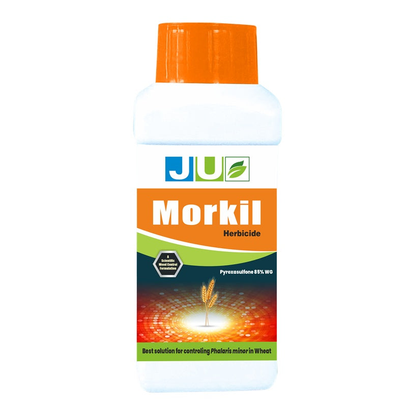 MORKIL