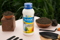 JU AZOLE - Azoxystrobin 18.2% + Difenoconazole 11.4% SC | Fungicide