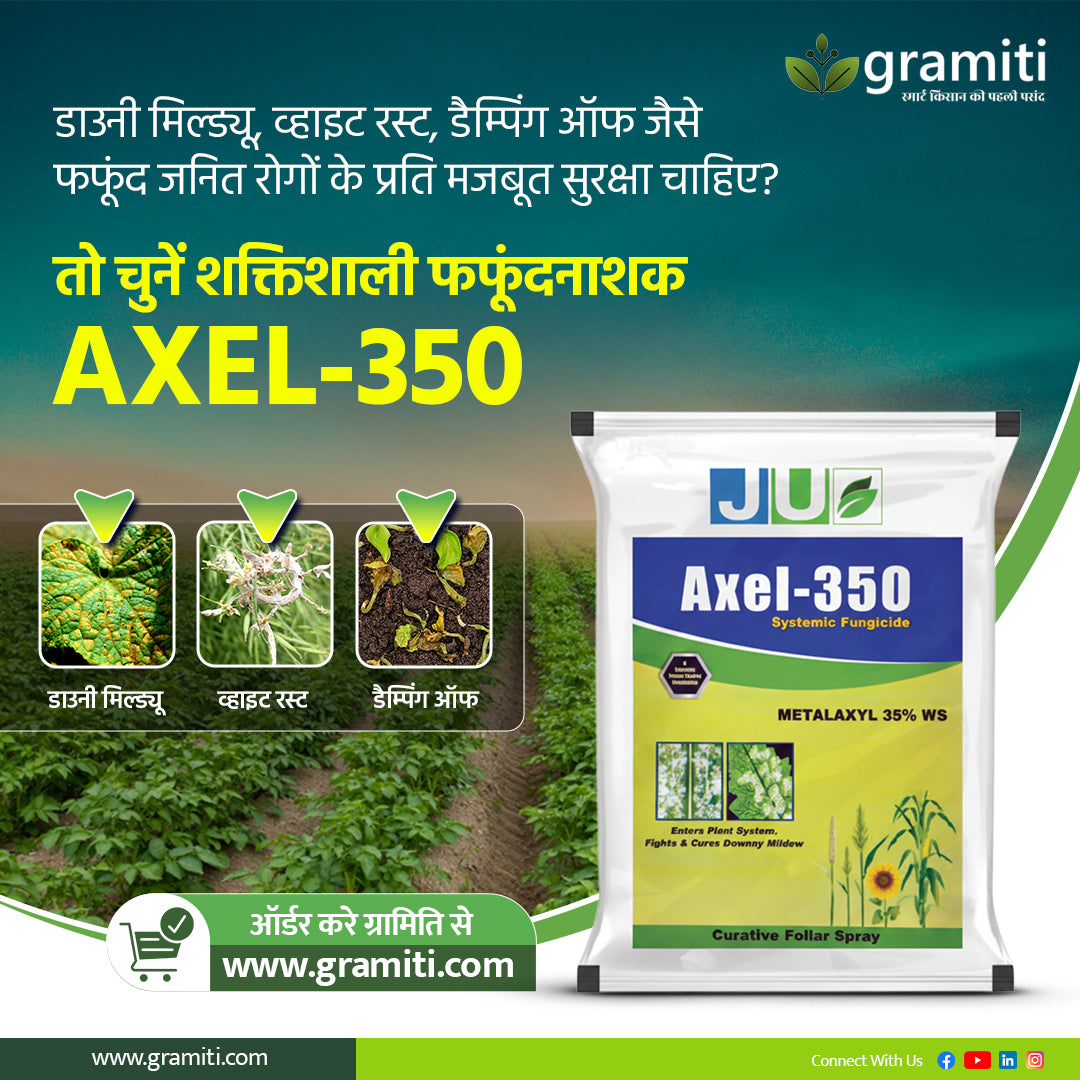 AXEL 350 - Metalaxyl 35 % WS