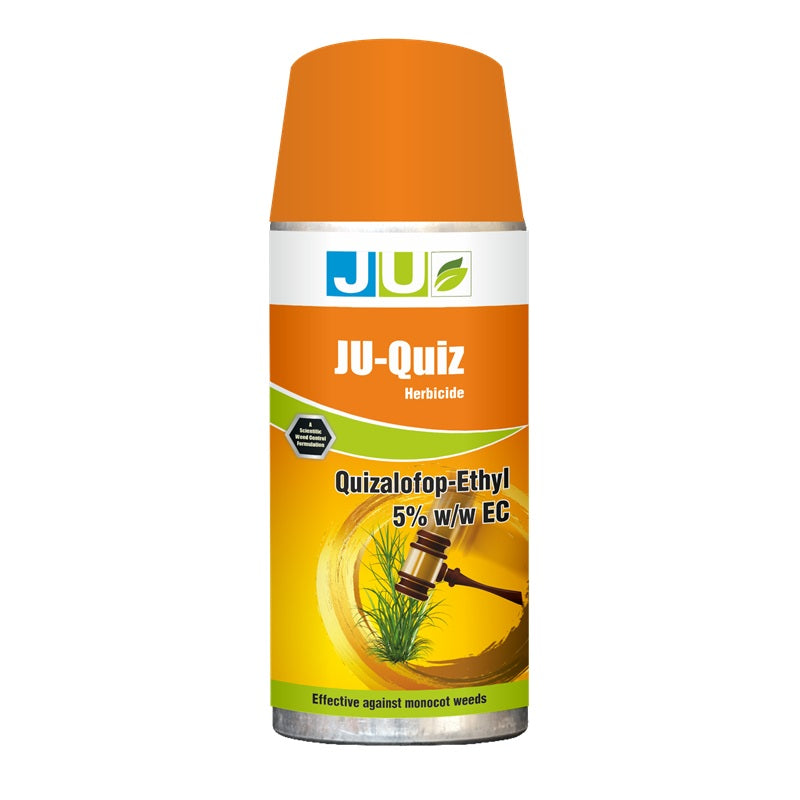 JU-QUIZ