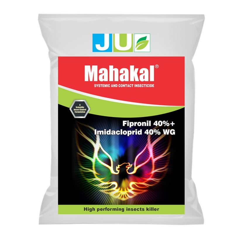 महाकाल 