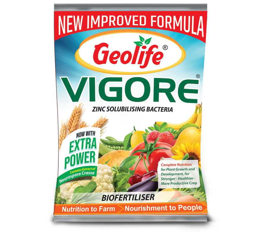 Geolife Vigore